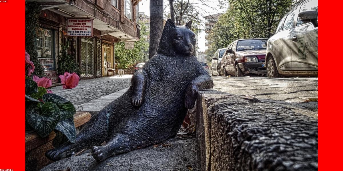 Creator WhatsApp Automation