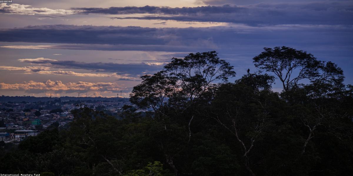 Solar WhatsApp Automation